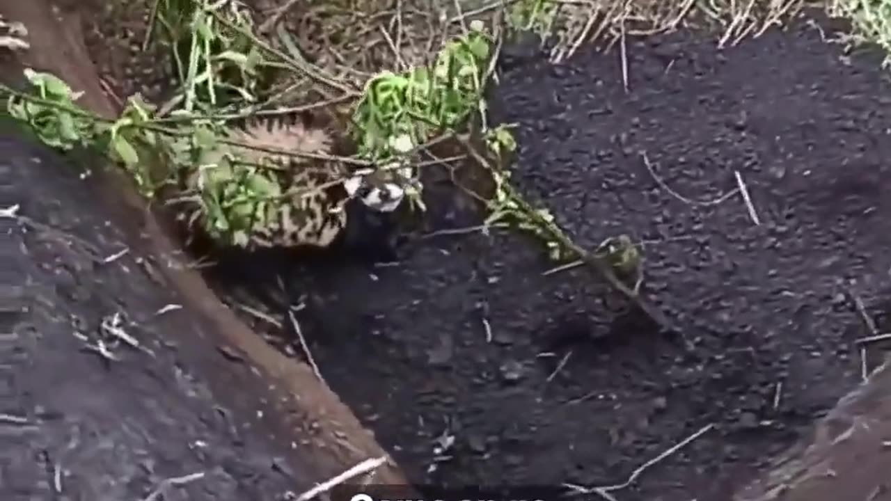 Ukrainian trench under attack