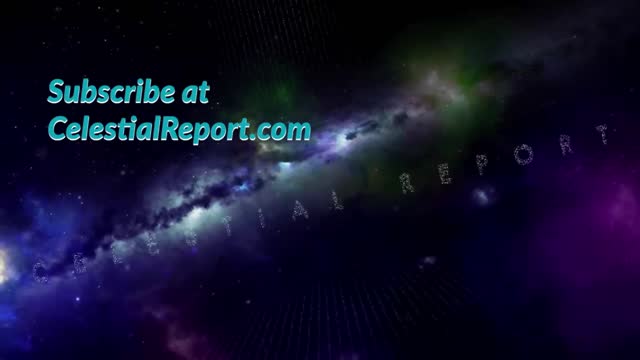 Celeste Solum - Edible Bug or Weapon - Jan 24 2023