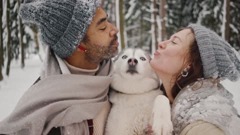 Cute Husky And Couple 4K