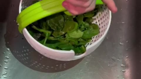 Salad Spinner