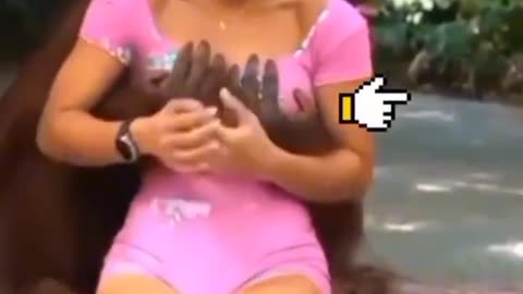 Funny Animals Monky LOve