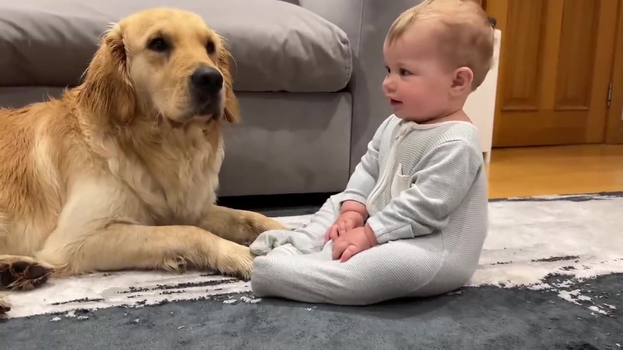 Golden Retriever and the cute baby