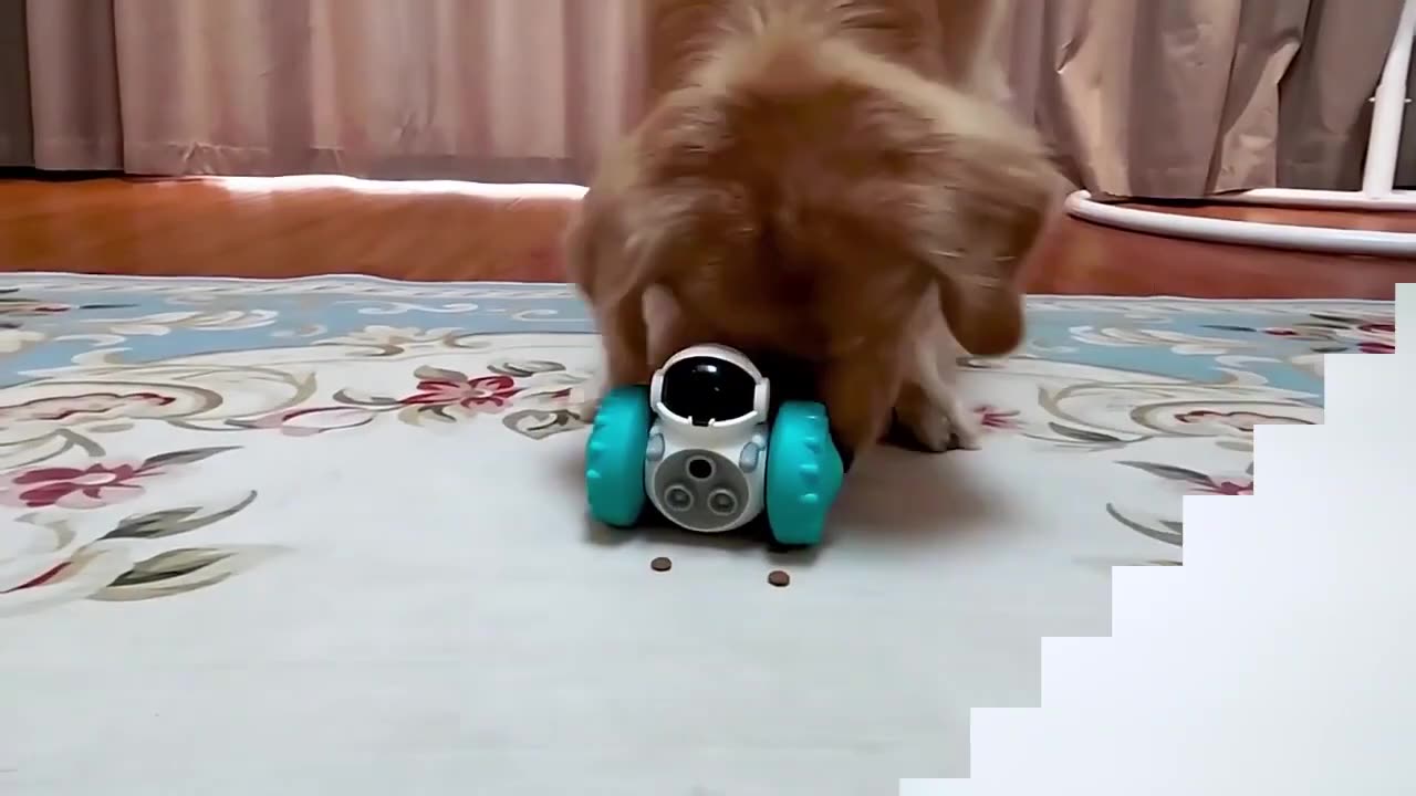 Pets lover | Funny Dog Lover and Pet Lovers and Tech-Gadget