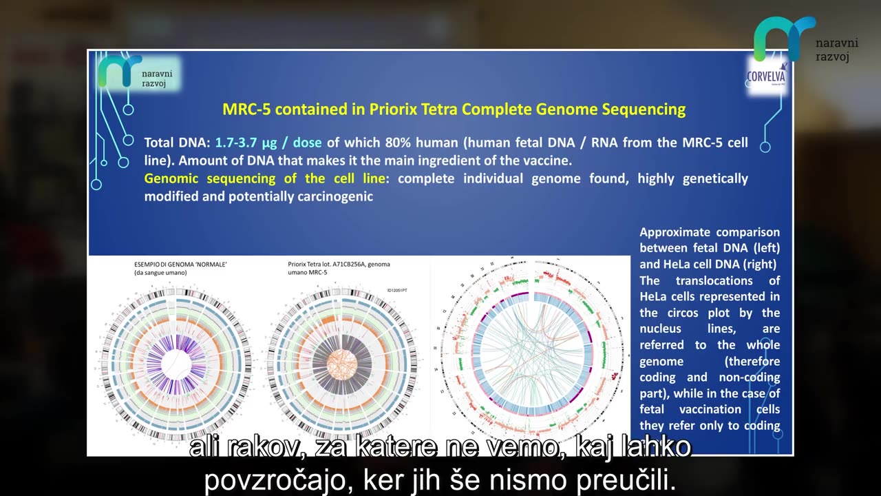Corvelva - Dr. Loretta Bolgan