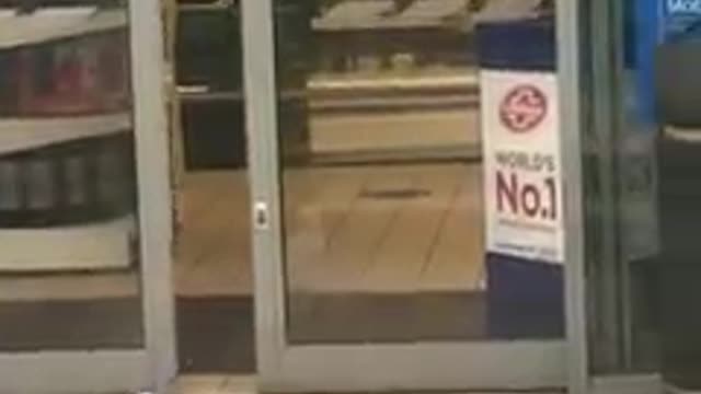 Sneaky Seagull Shoplifts a Snack, Too Funny