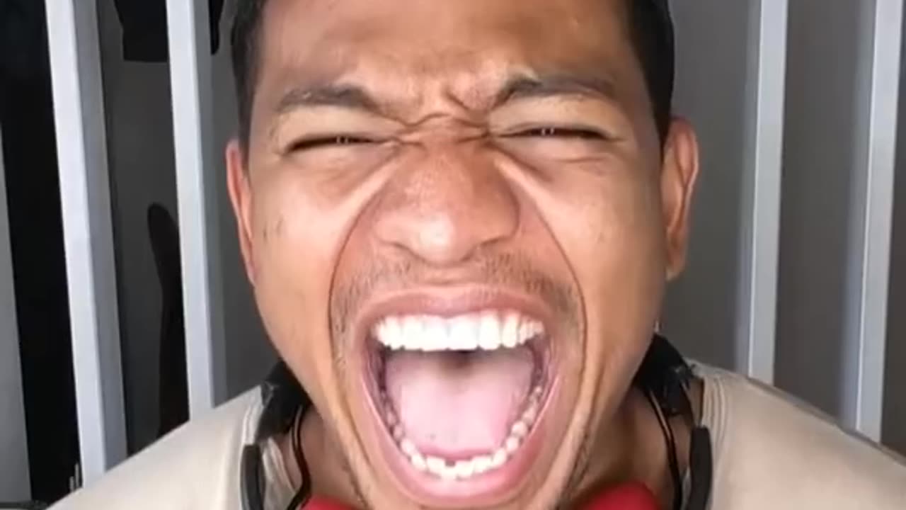 ANIMAL πΌπΌπ―π¦πΉπ±TIKTOK COMPILATION π¦ππ¦