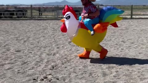 Barrel Racing Chicken