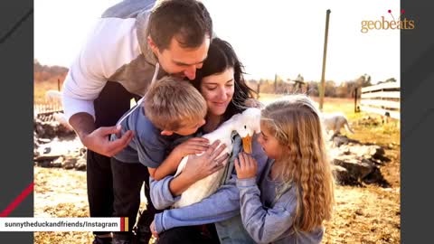 No one wanted this special needs duck. Then this woman took him home.