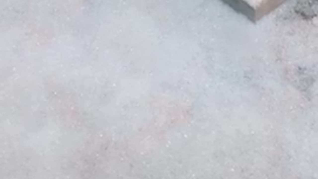 Nature shorts: Feel the cold, play with the fluffy snow, winter is here!
