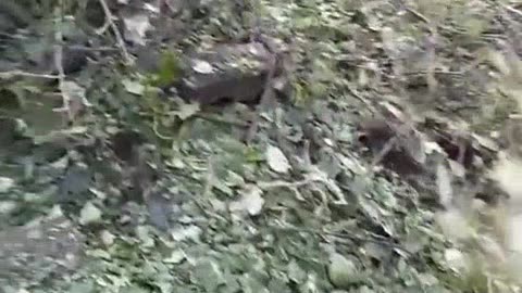 War in ukraine