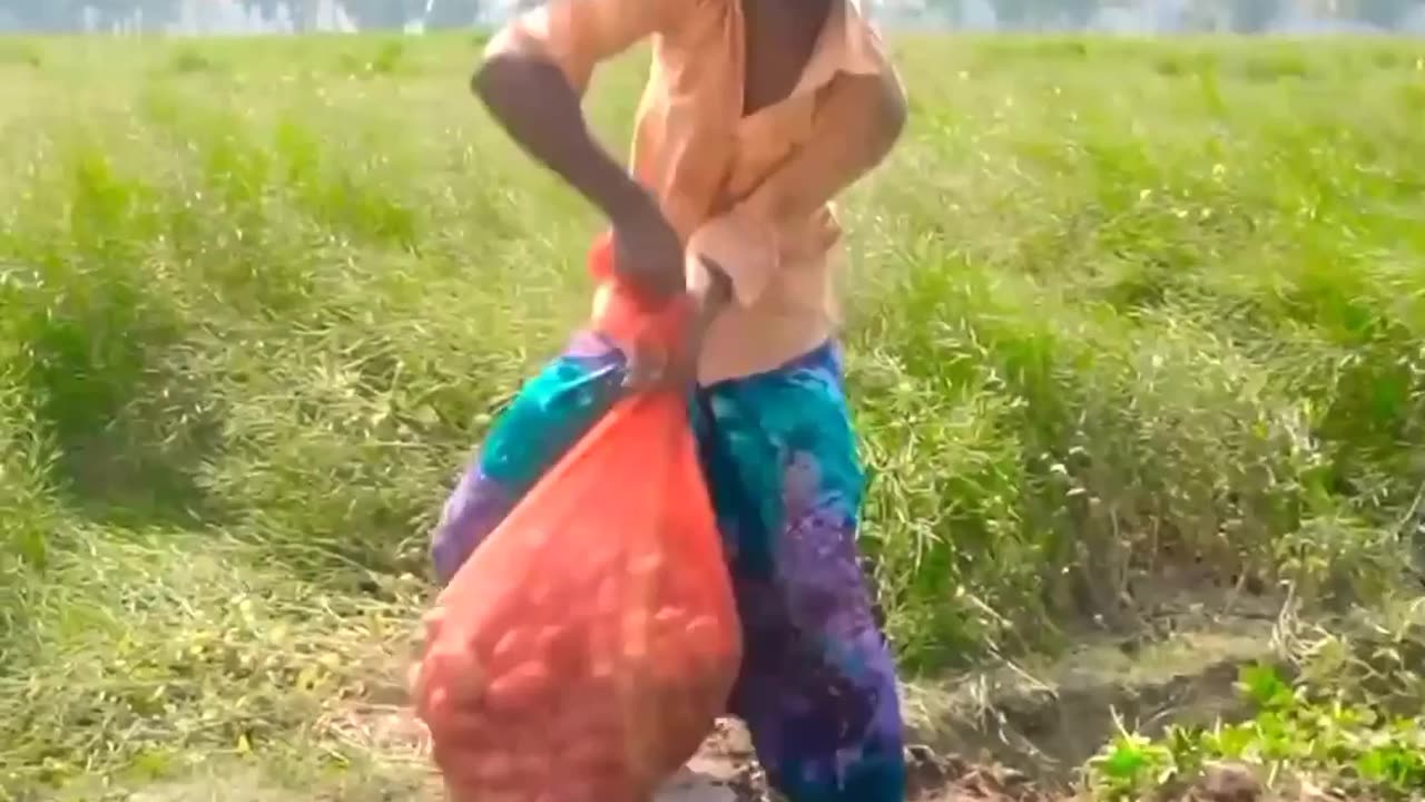 Indian Funny comedy videos