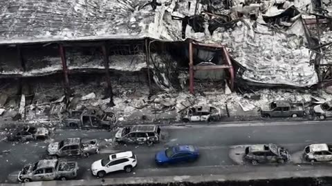 Hawaii Aftermath in Maui