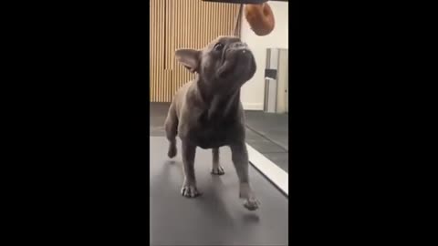 omg