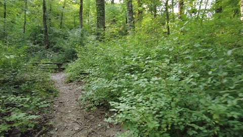 Revisiting the Abandoned Lookout Mountain Picnic Area