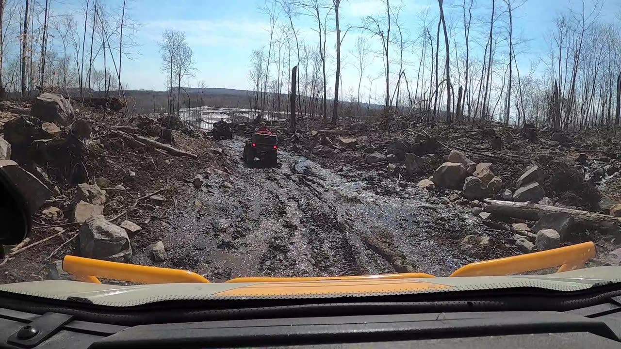 Rhino Offroad