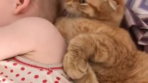Cat Licking Baby's Head Cute video
