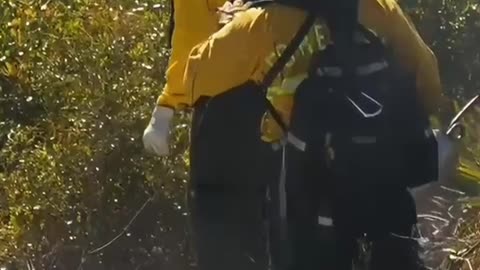 Firefighters vs. Wild Controlled Burn