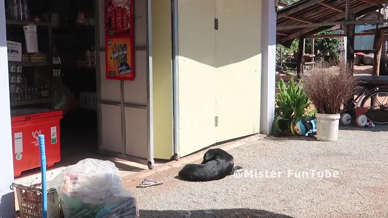 "Unexpected Twist: Big Plastic Box Prank"