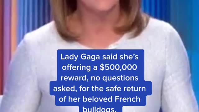Lady Gaga said she's offering a $500,000 reward, no questions asked, for the safe return