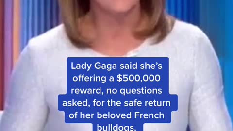 Lady Gaga said she's offering a $500,000 reward, no questions asked, for the safe return