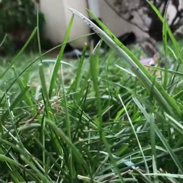 Betty you are so beautiful, I am the luckiest man alive