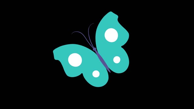 simple flat style natural animal butterfly mg animation