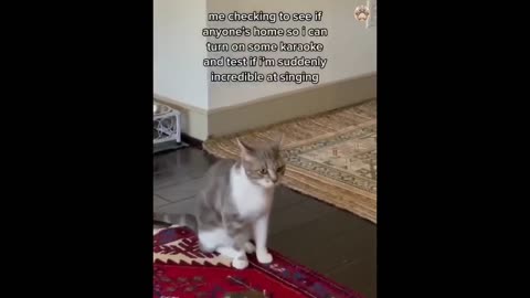 New Funny Animals 😂 Funniest Cats and Dogs Videos 😺🐶