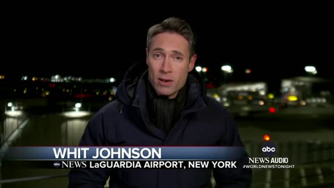 Bird strikes American Airlines plane forcing an emergency landing