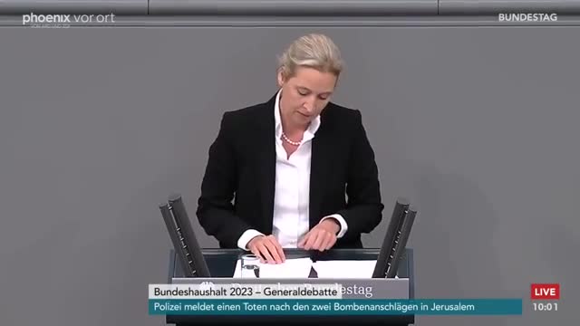 Weidel 24.11.22