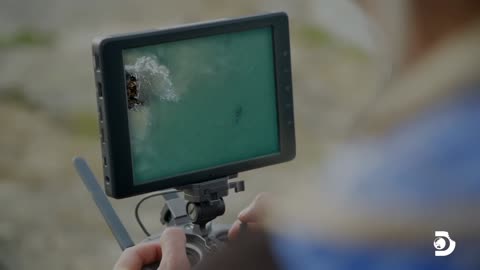 io-Drone Spots Shark Hunting Seal | Shark Week-(1080p)