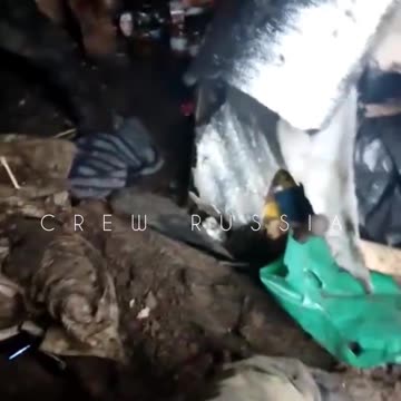 More dead ukraine soldiers