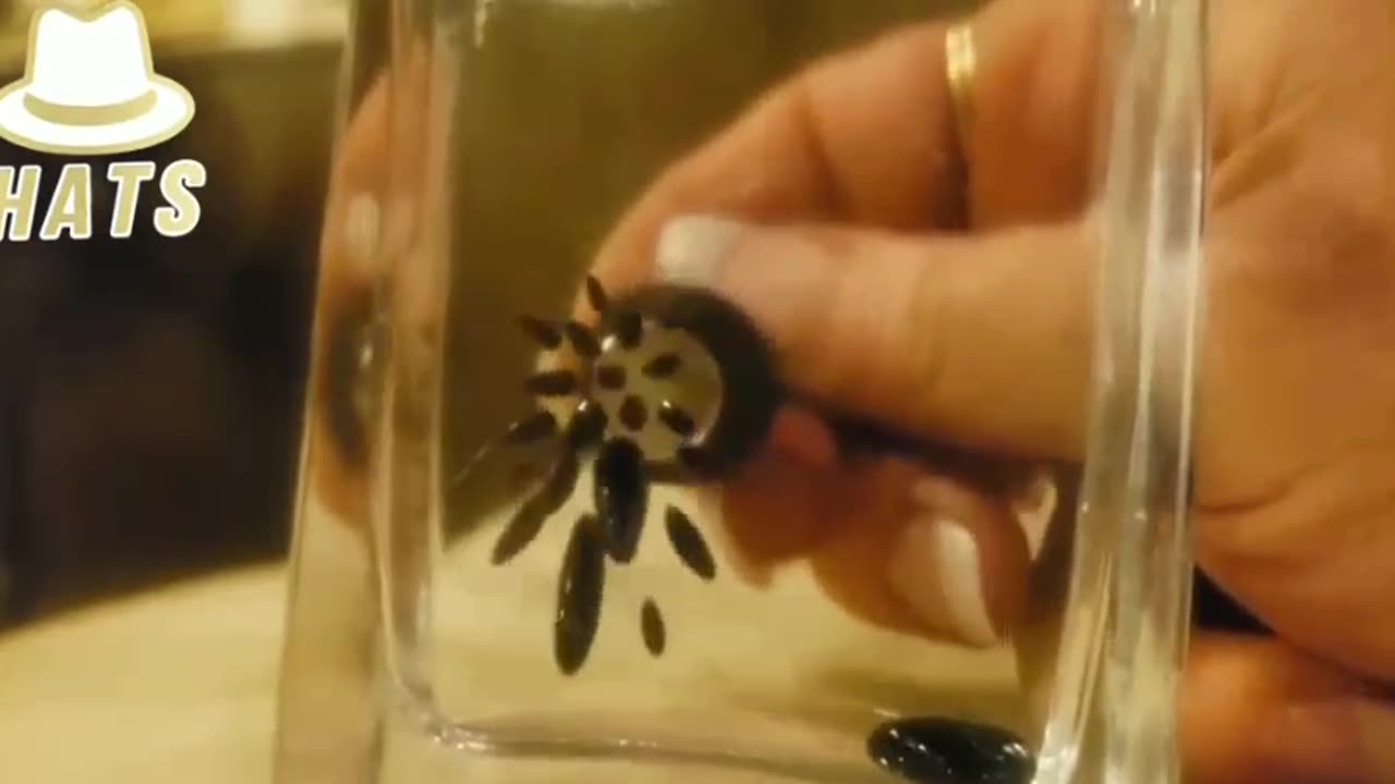 Graphene Oxide and how it connects to magnets.