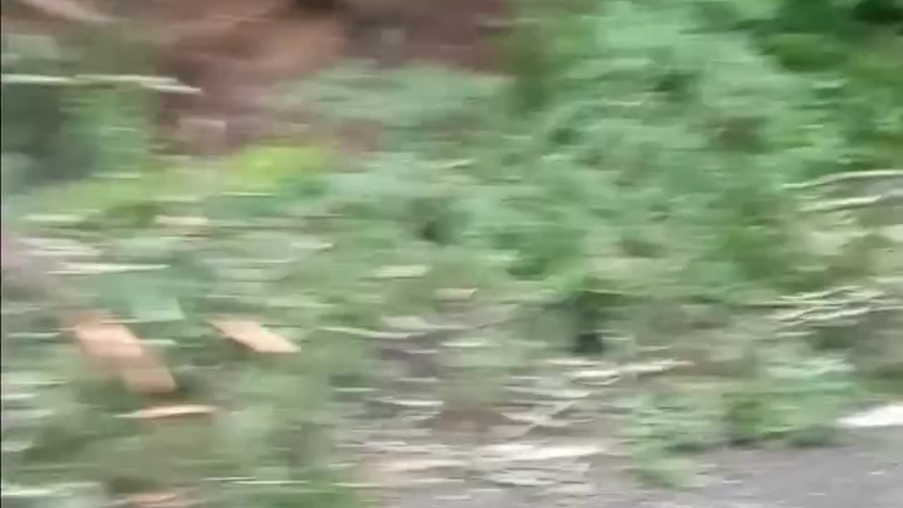 Heavy rain flash flood in Swensey