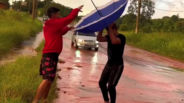 Não deixe eles saber seu próximo passo #comedy #funny