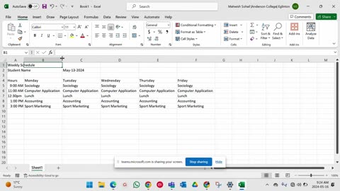 ITC - Excel _ Chapter 01 - Review 01