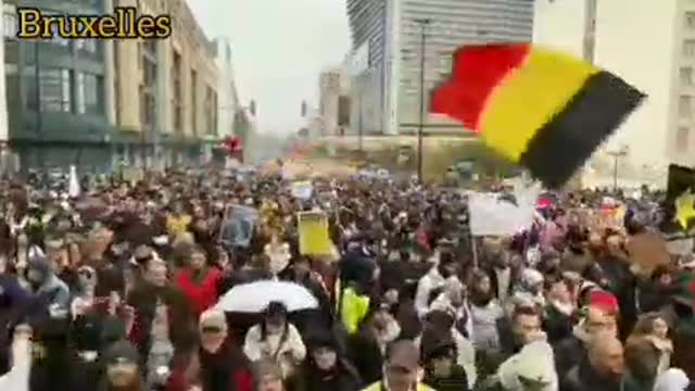 Summary of demonstrations in multiple cities around the world.