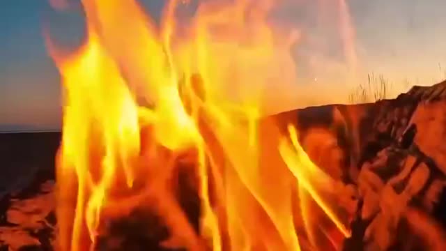 Fogo que Arde a Ver - Fire