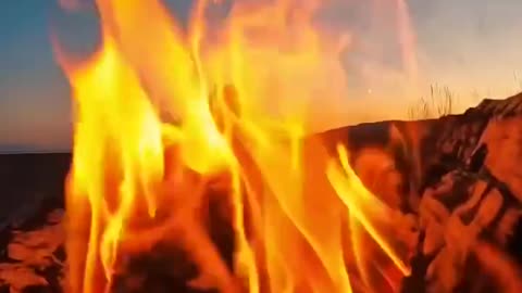 Fogo que Arde a Ver - Fire
