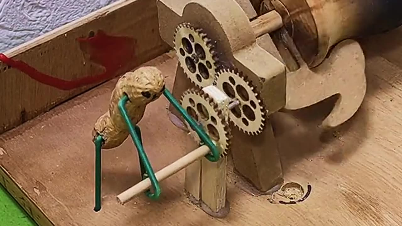 Funny Video