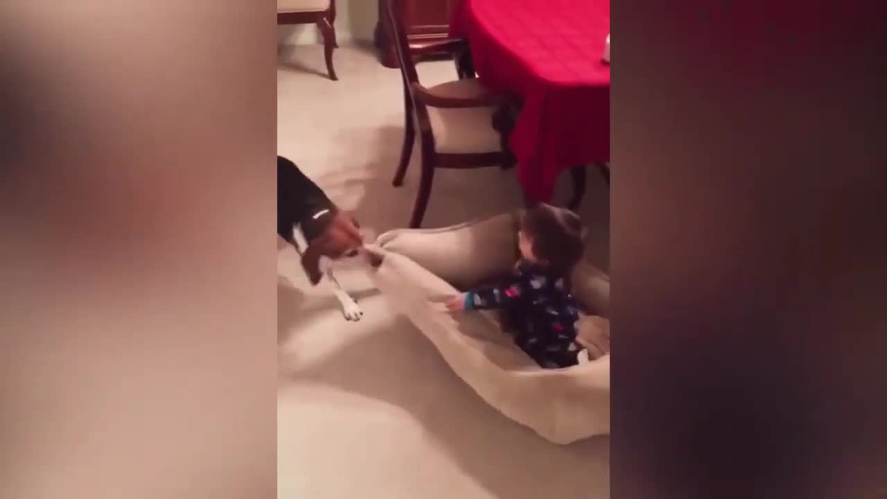 Baby Is Excited to Play with Dog