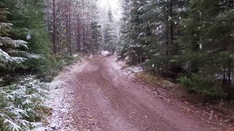 KTM SX 125 - First Snow