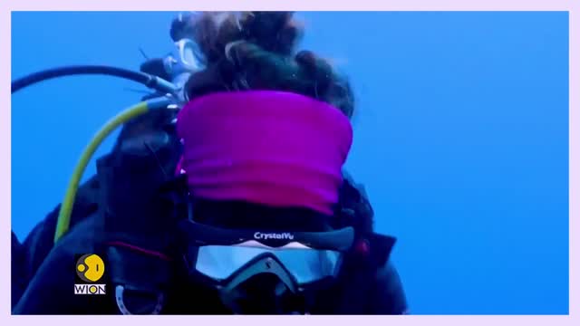 Scientists discover a pristine three-kilometre long reef of giant rose-shaped corals
