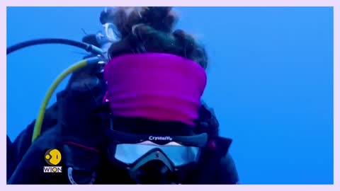 Scientists discover a pristine three-kilometre long reef of giant rose-shaped corals