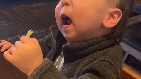 Baby Doesn't Care For Lettuce