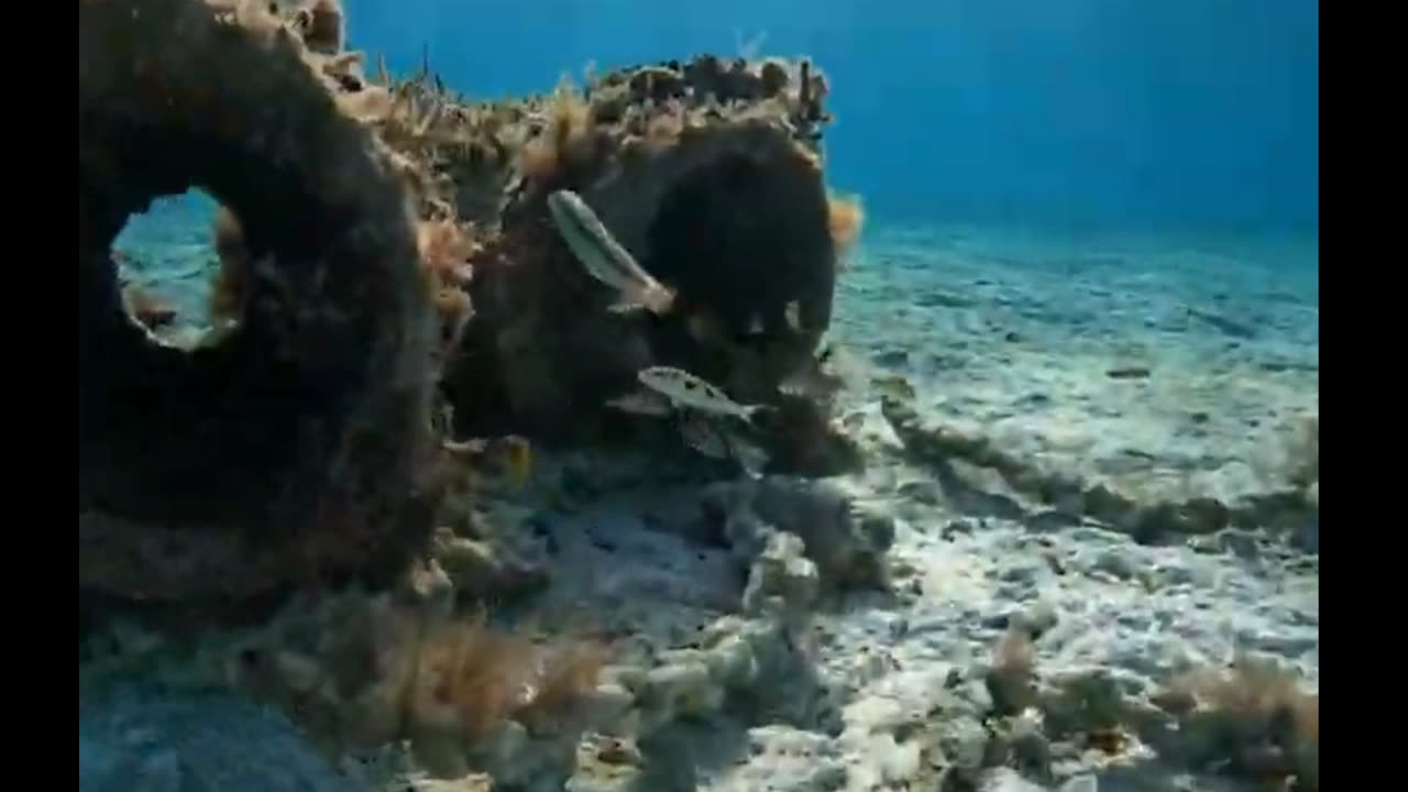 Lobster Pipes