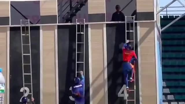 19_They’re so fast wtf 😳 (ht earthwisherig) #ladderrace #fast #shoutoutot