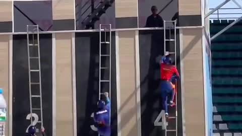 19_They’re so fast wtf 😳 (ht earthwisherig) #ladderrace #fast #shoutoutot
