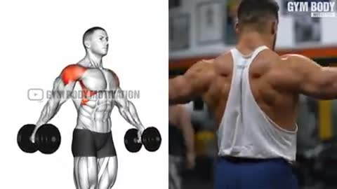 Best Shoulder Exercise for Men's