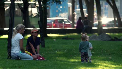 Children play lawn lawn