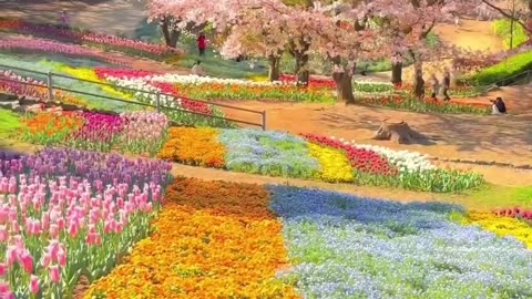 ❤️Most beautiful places on Earth